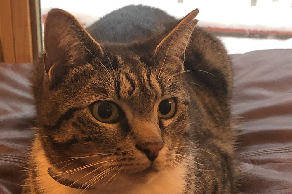 Photo of Others in Wentworth