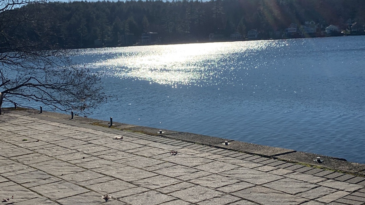 Photo of Others in Hampstead