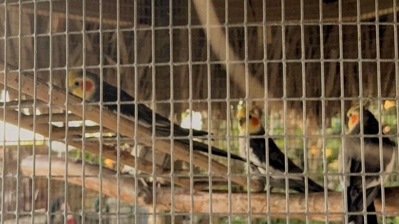 Photo of Outdoor in Homestead