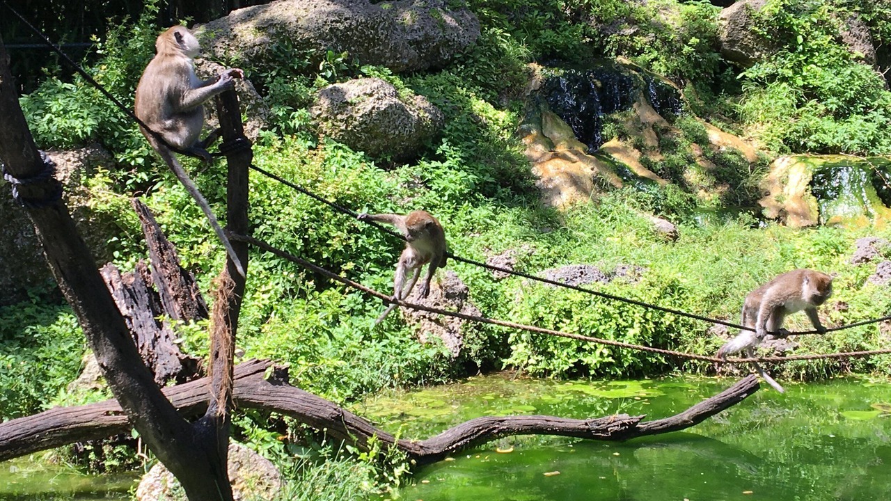 Photo of Others in Homestead