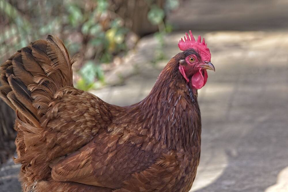Photo of Others in San Marcos