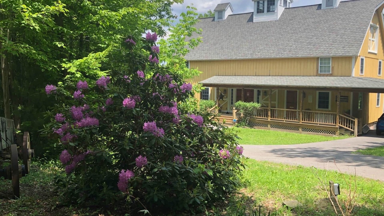 Photo of Outdoor in Etna