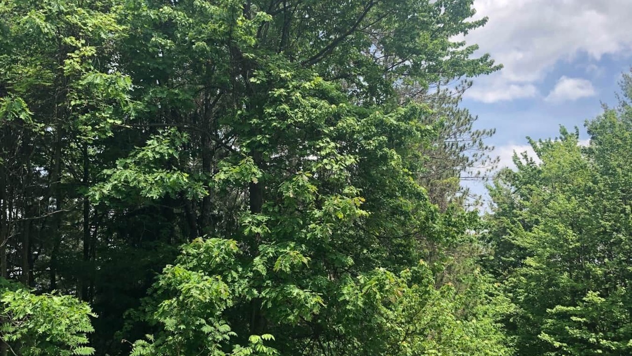 Photo of Outdoor in Etna