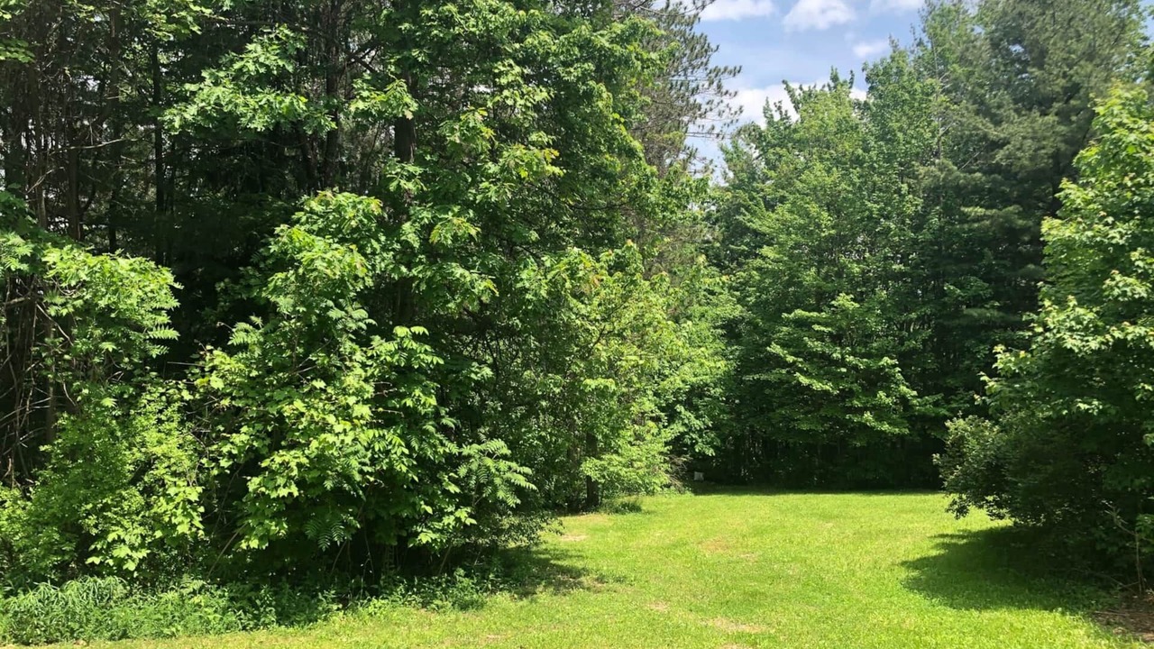 Photo of Outdoor in Etna