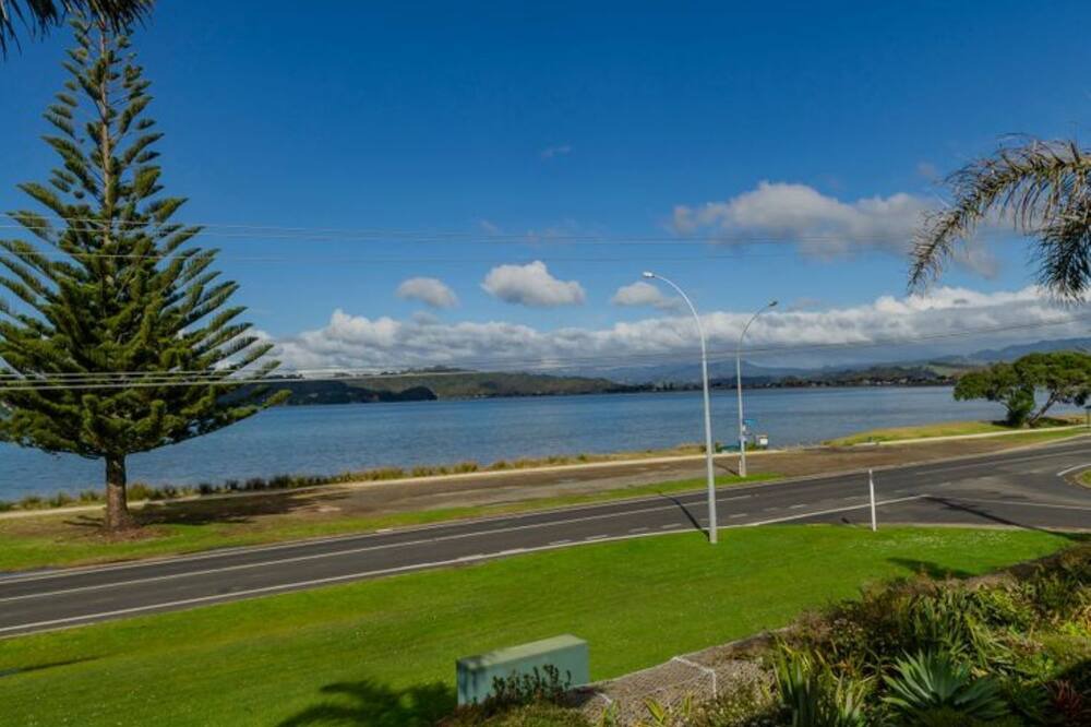 Photo of Others in Whitianga