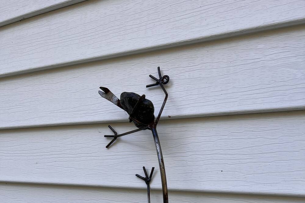 Photo of Others in Rye