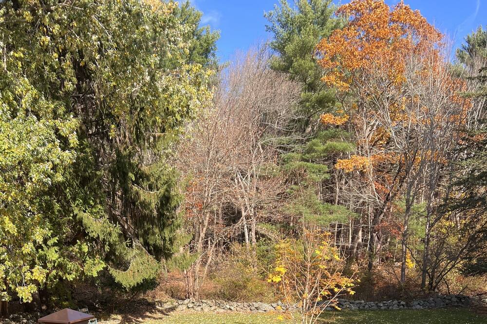 Photo of Others in Rye