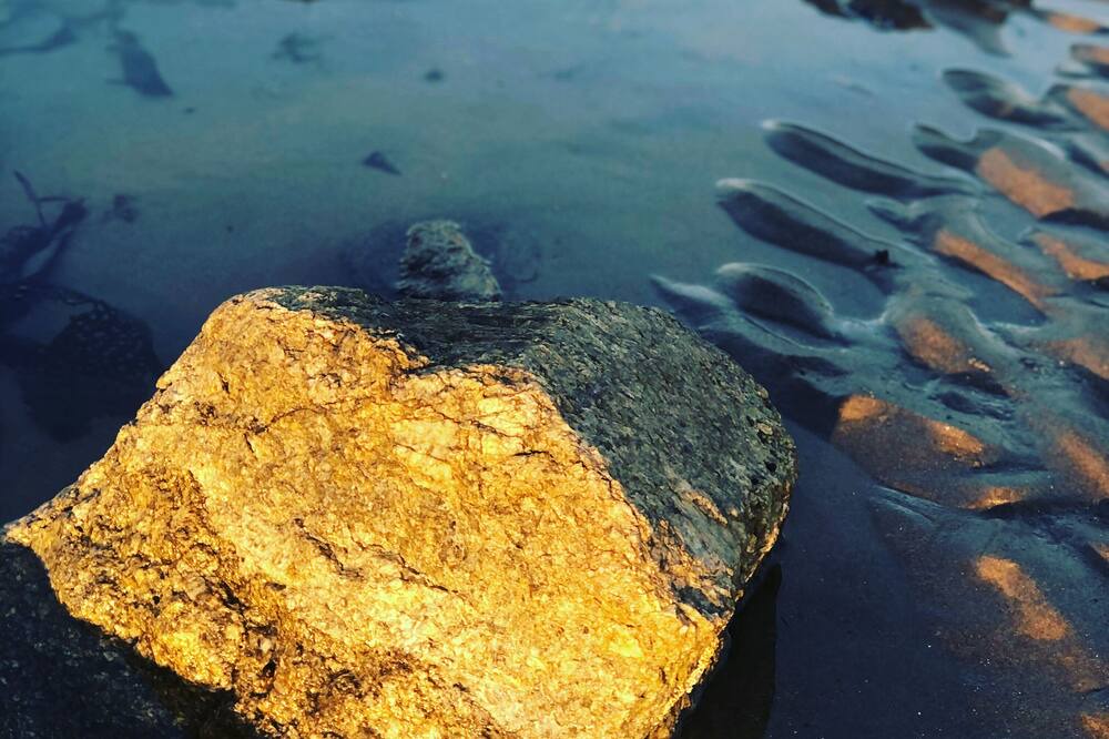 Photo of Others in Rye