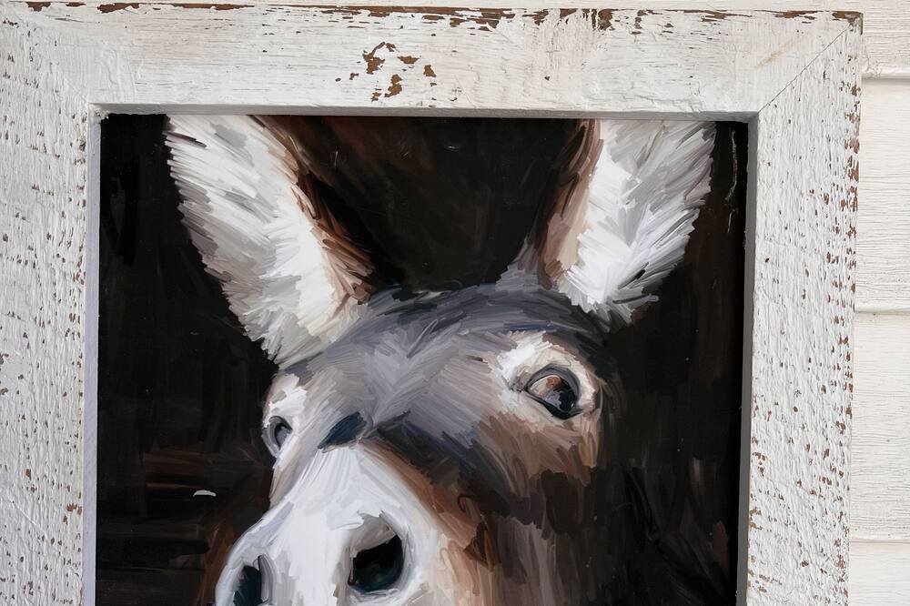 Photo of Others in Rye