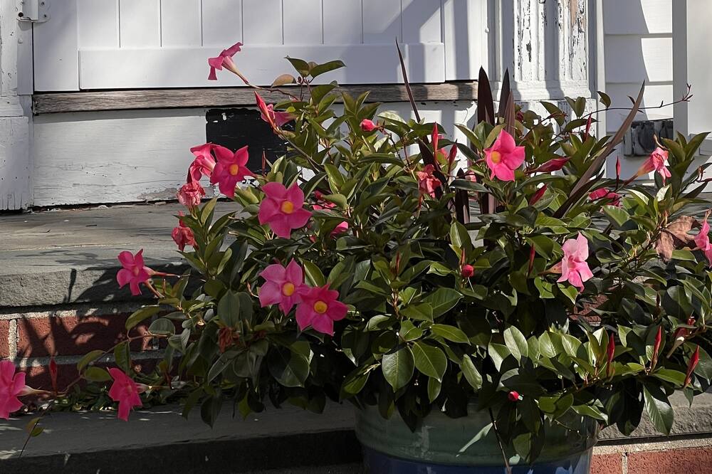 Photo of Outdoor in Rye