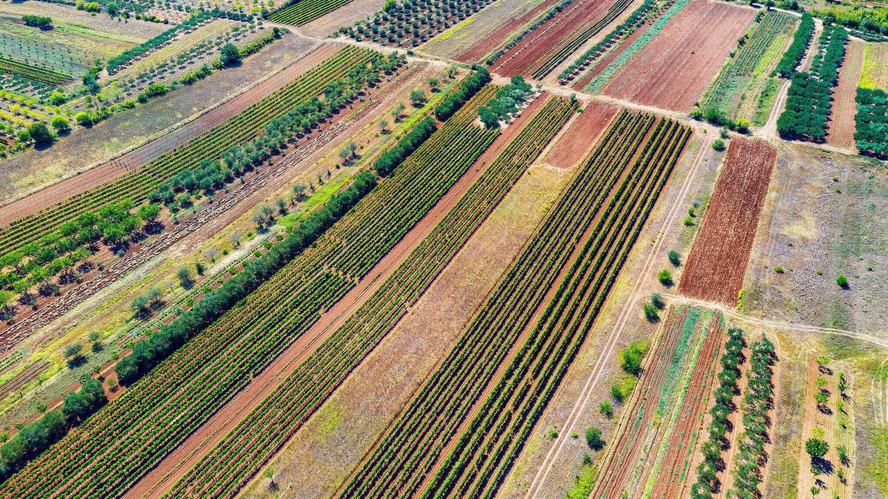 Photo of Outdoor in Benkovac