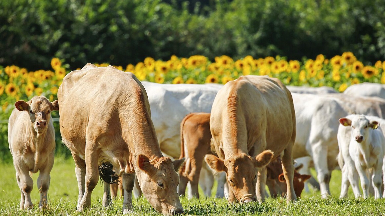 Photo of Others in Teigngrace