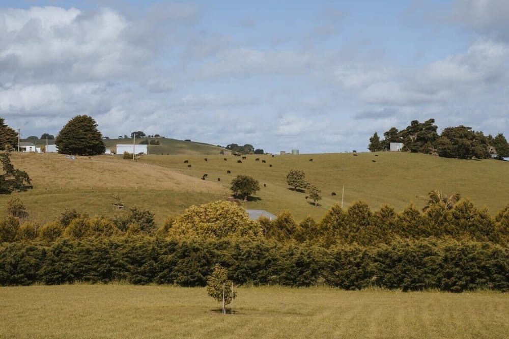 Photo of Others in Jumbunna