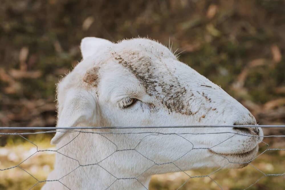Photo of Outdoor in Jumbunna