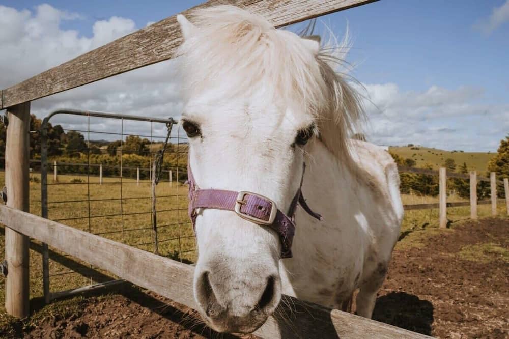 Photo of Outdoor in Jumbunna