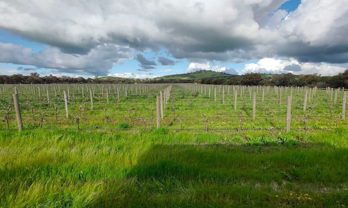 Photo of Outdoor in Toolleen