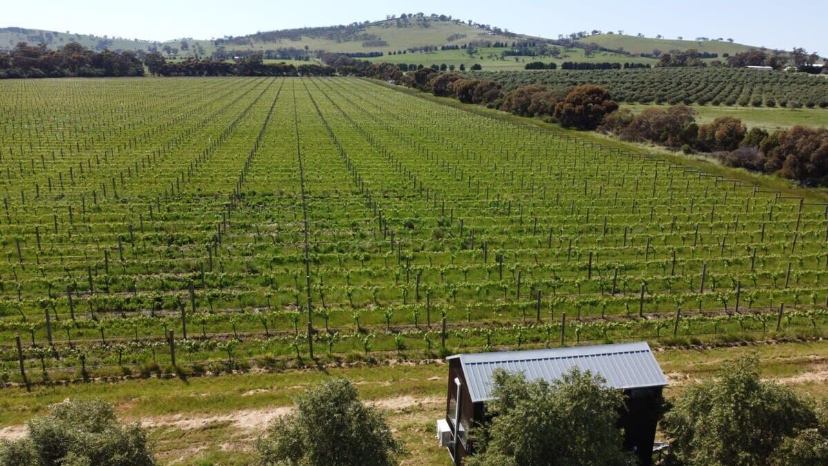 Photo of Others in Toolleen