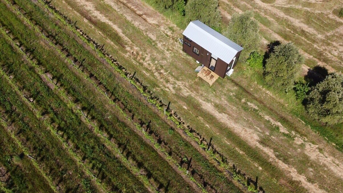 Photo of Others in Toolleen