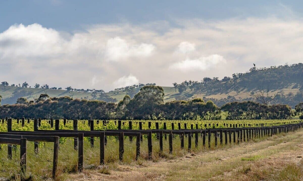 Photo of Outdoor in Toolleen