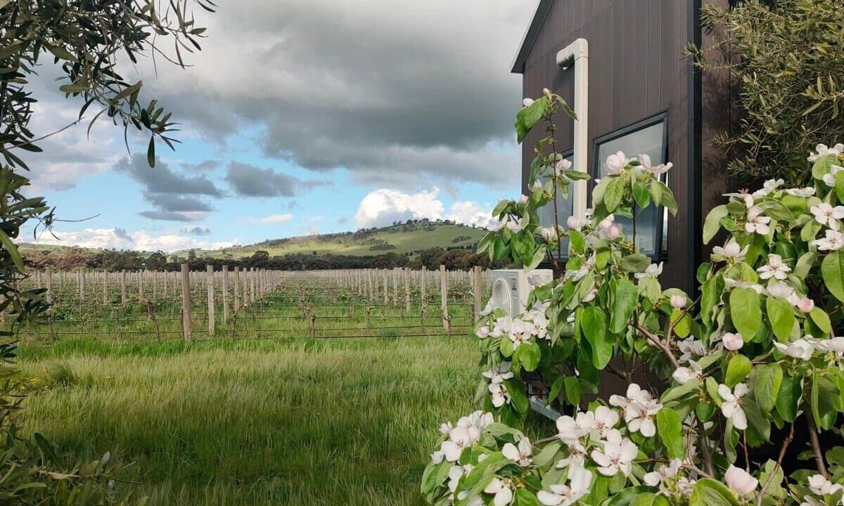 Photo of Outdoor in Toolleen