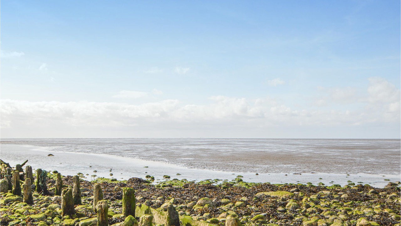 Photo of Others in Emmerlev