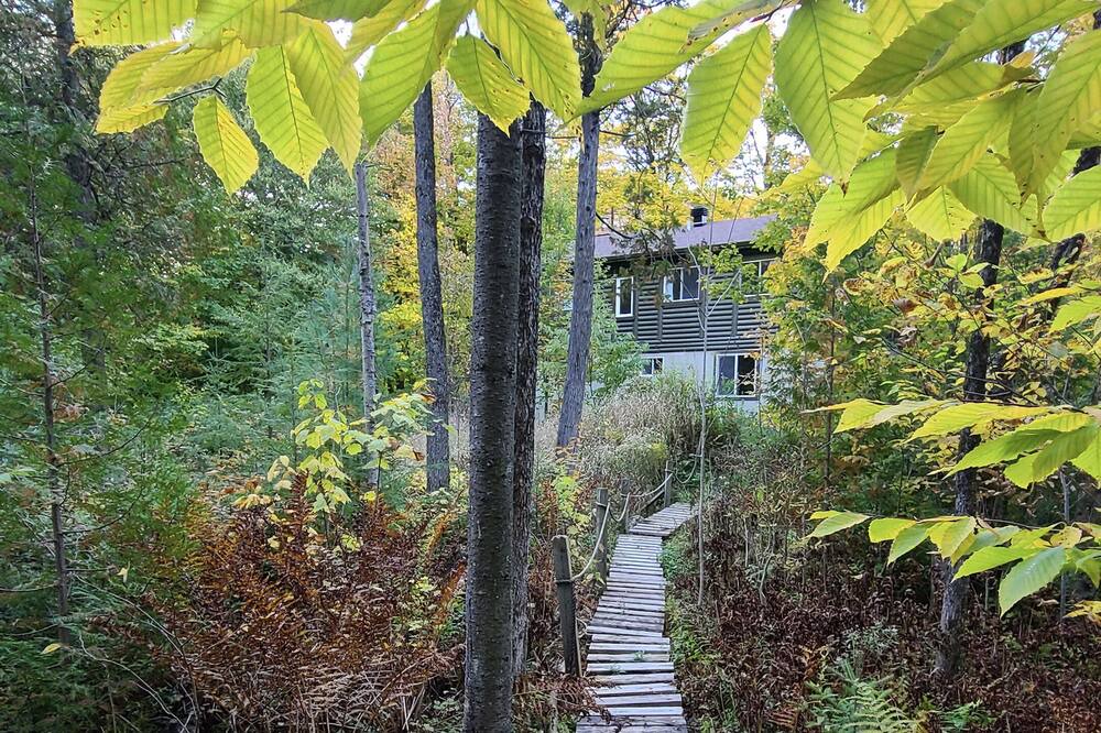 Photo of Outdoor in Gore