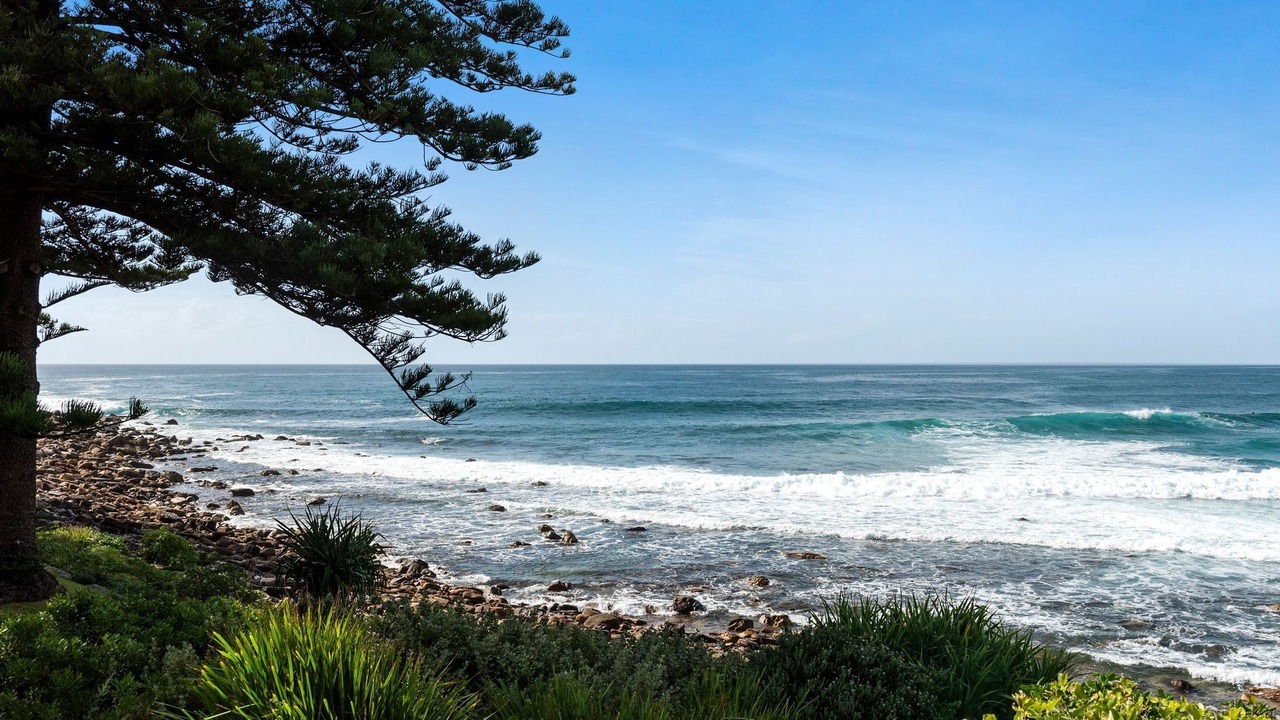 Photo of Others in Avalon Beach