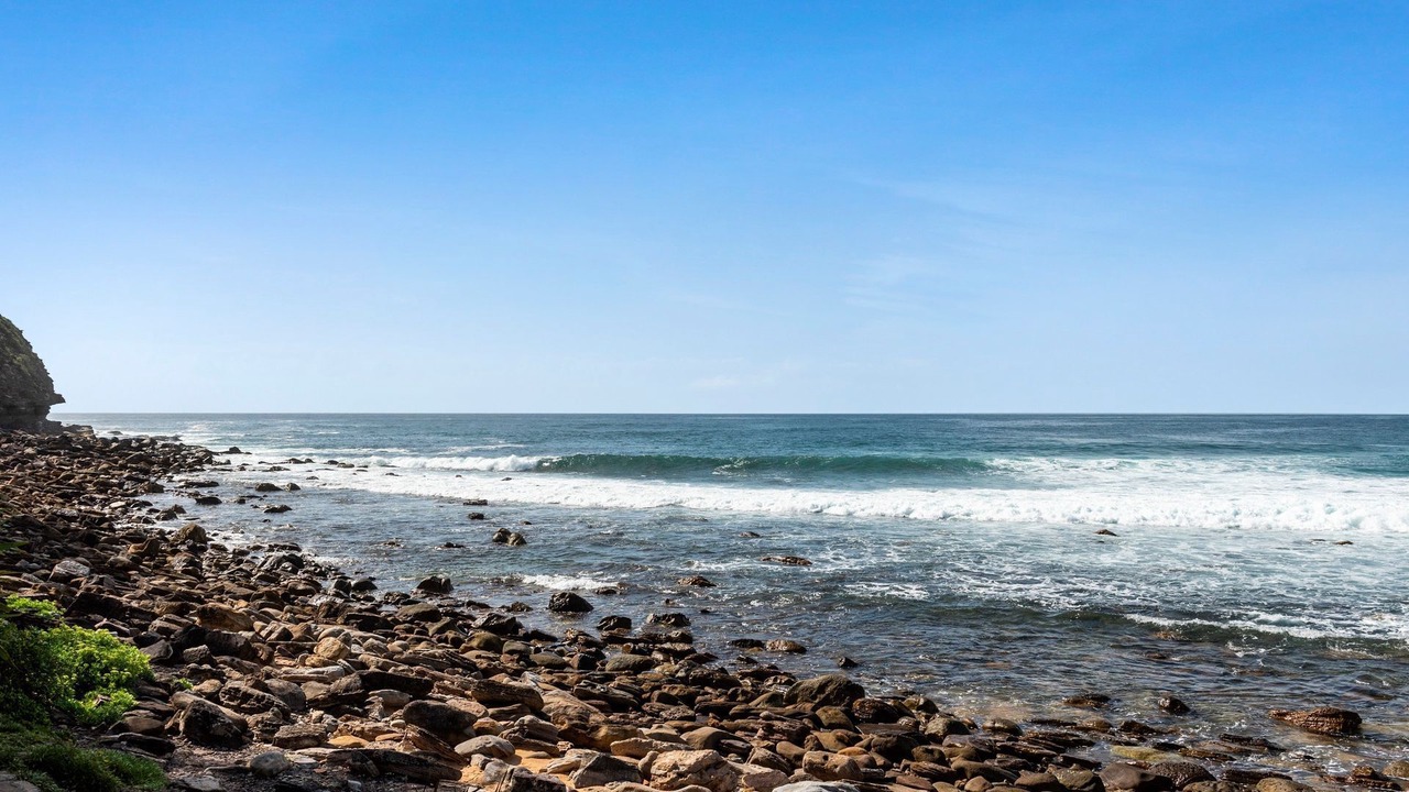 Photo of Others in Avalon Beach