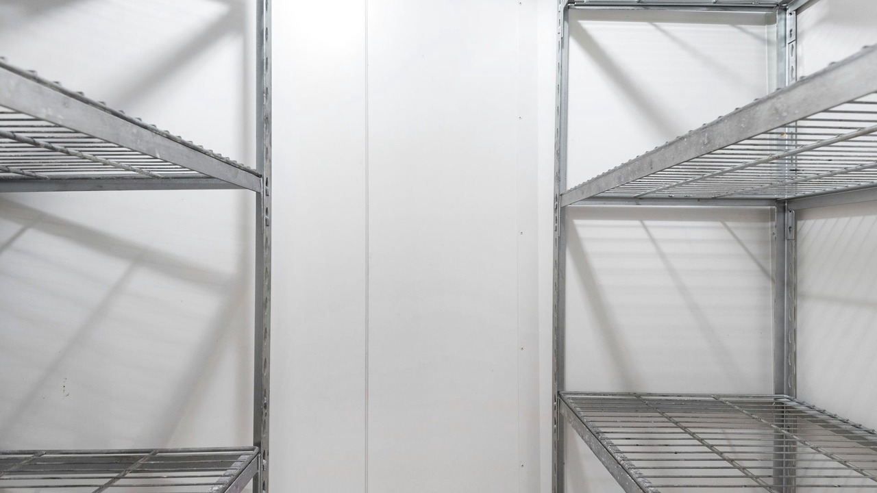 Photo of Others in Avalon Beach