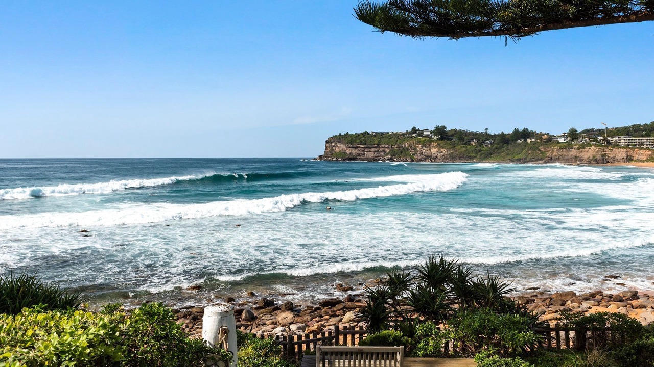 Photo of Others in Avalon Beach