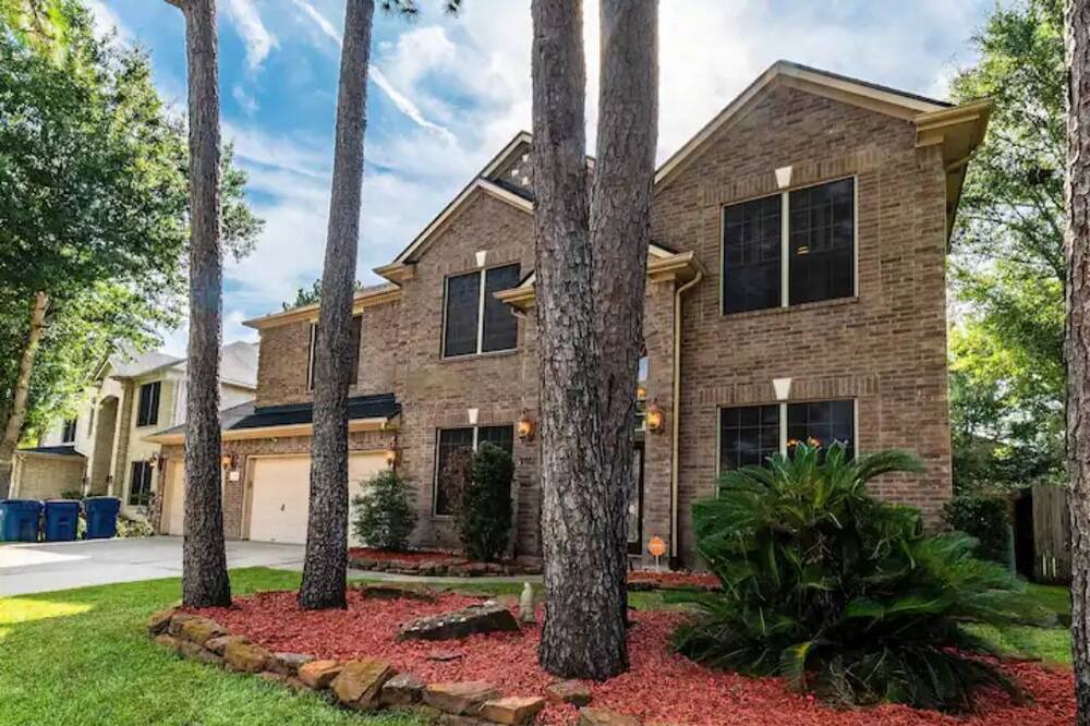 Photo of Outdoor in Atascocita