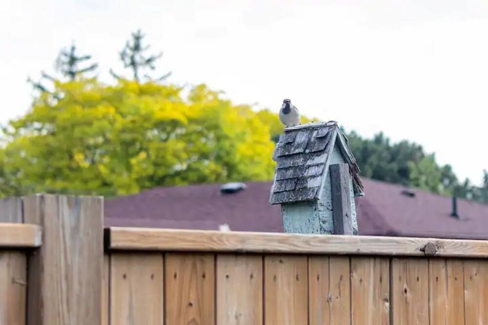 Photo of Outdoor in Grimsby