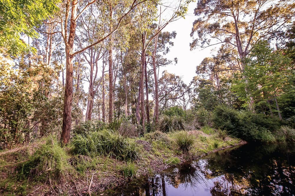 Photo of Others in Mount Macedon