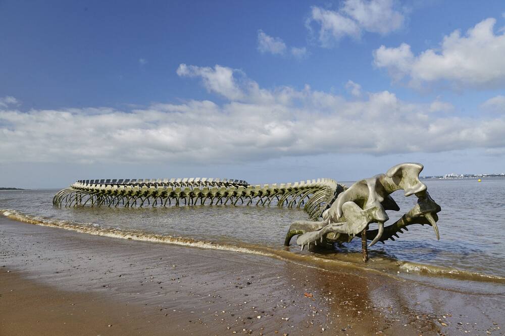 Photo of Others in Saint-Brevin-l'Ocean