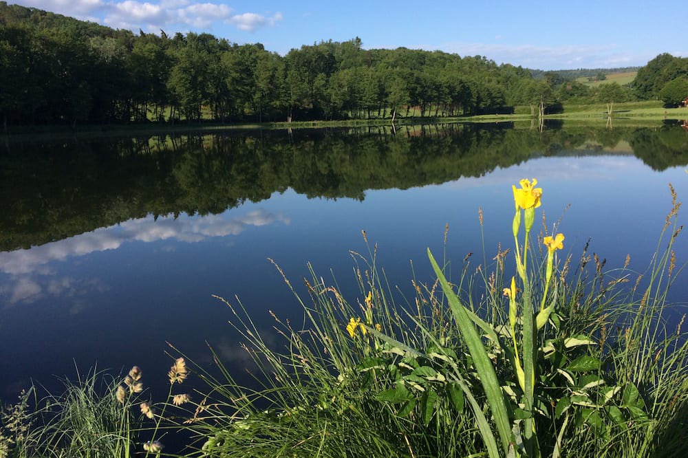 Photo of Others in Sussac