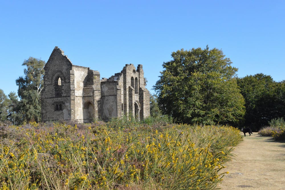 Photo of Outdoor in Sussac
