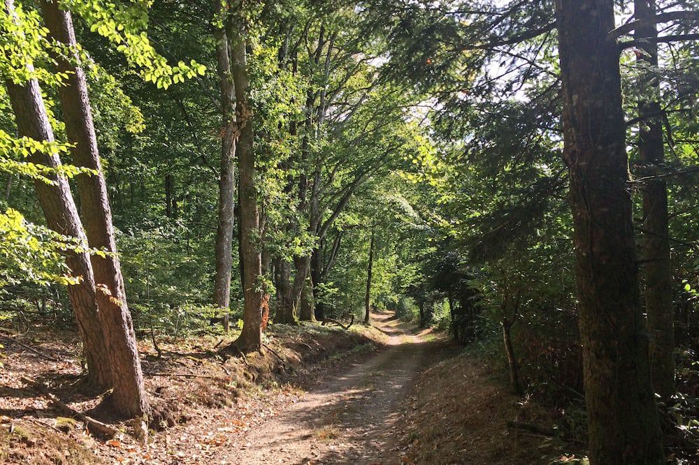 Photo of Outdoor in Sussac