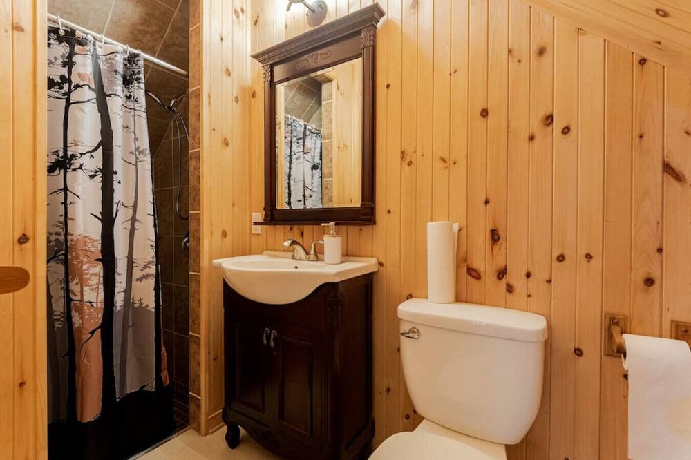 Photo of Bathroom in Saint-Alexis-des-Monts
