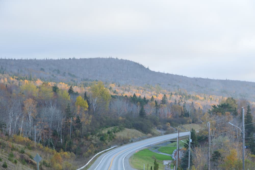 Photo of Others in Irish Cove