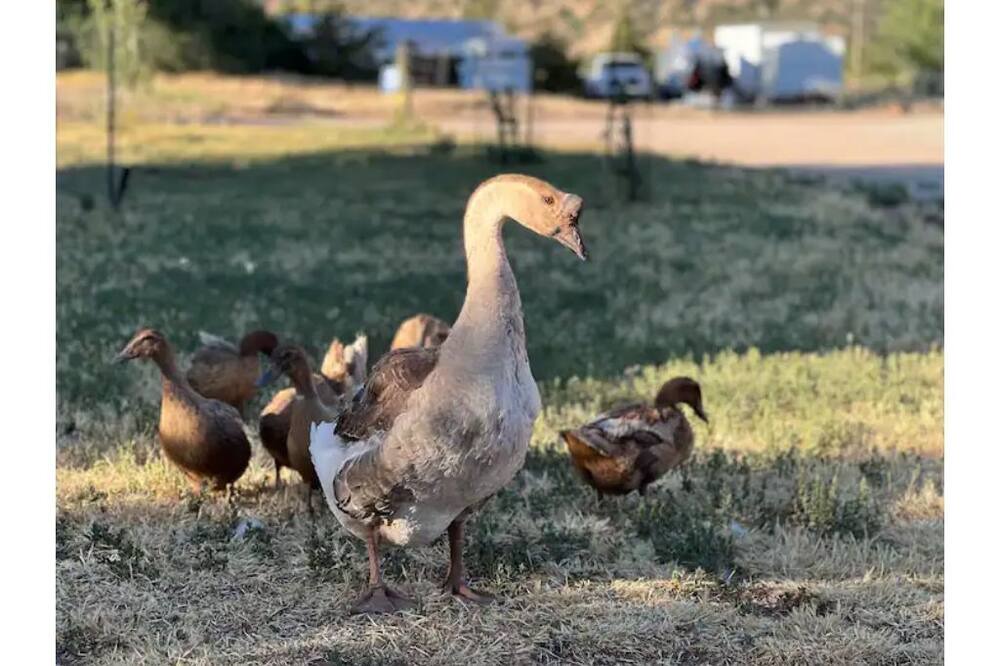 Photo of Others in New Harmony