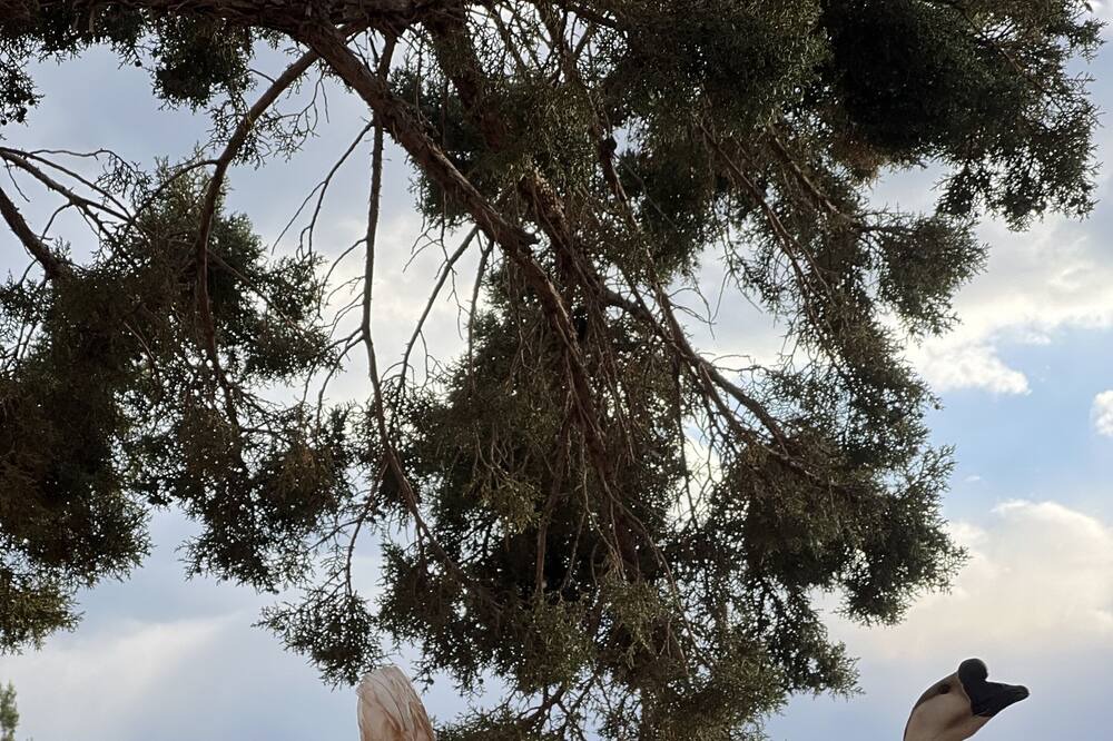Photo of Outdoor in New Harmony