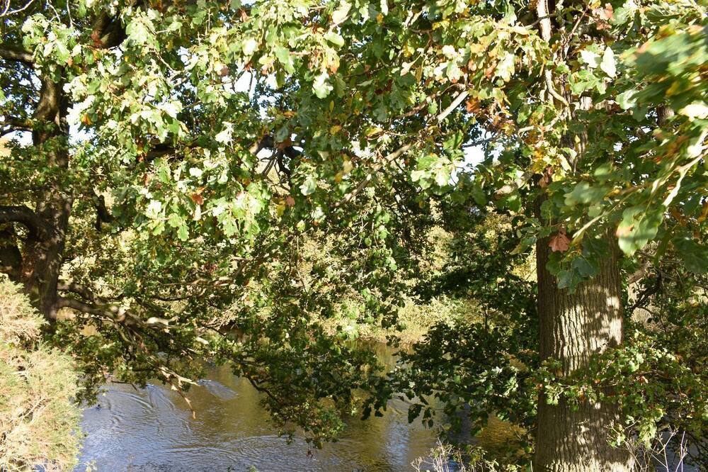 Photo of Others in Durham