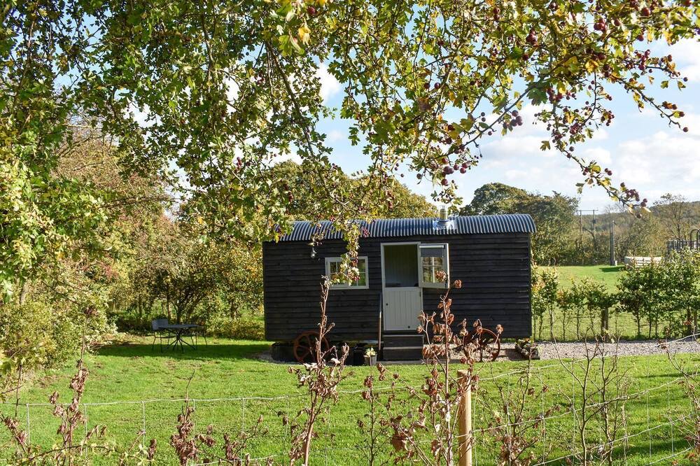 Photo of Others in Durham