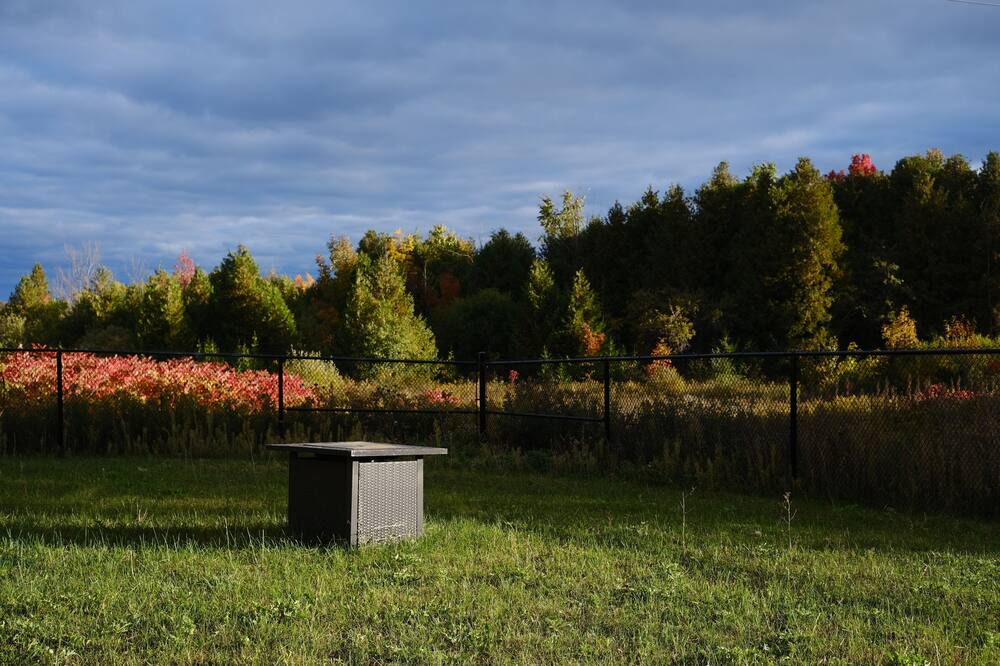 Photo of Outdoor in Pickering