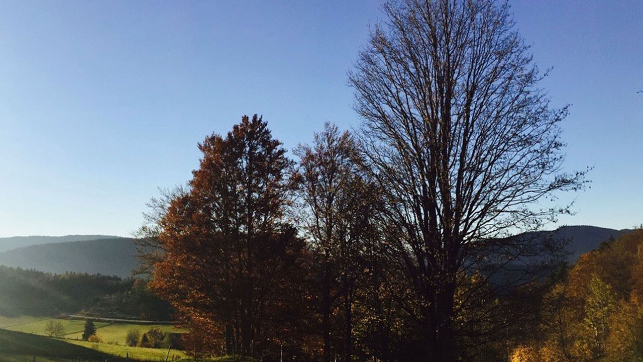 Photo of Outdoor in Villard-de-Lans