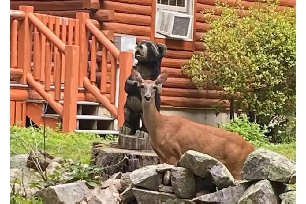 Photo of Others in Cape Neddick
