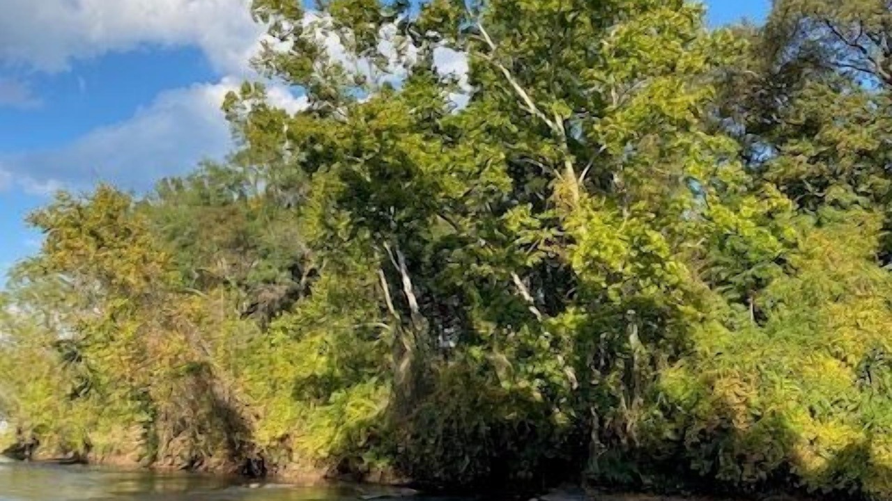 Photo of Others in Juliette