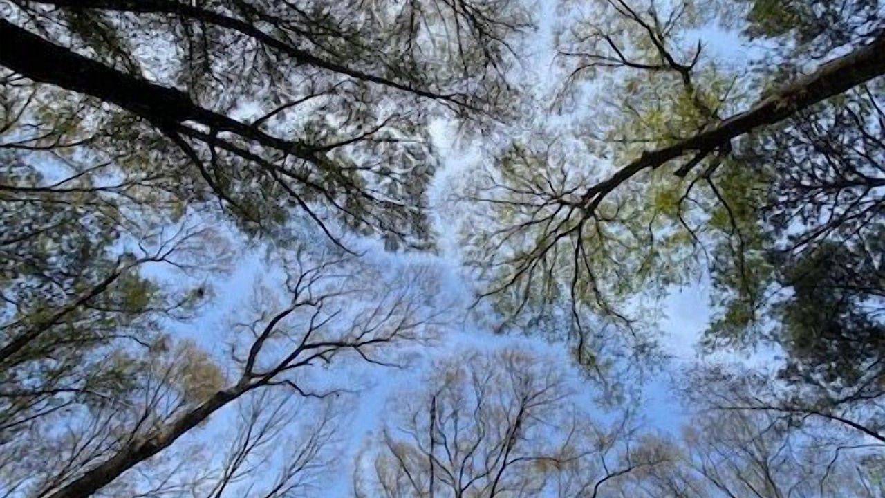 Photo of Others in Juliette