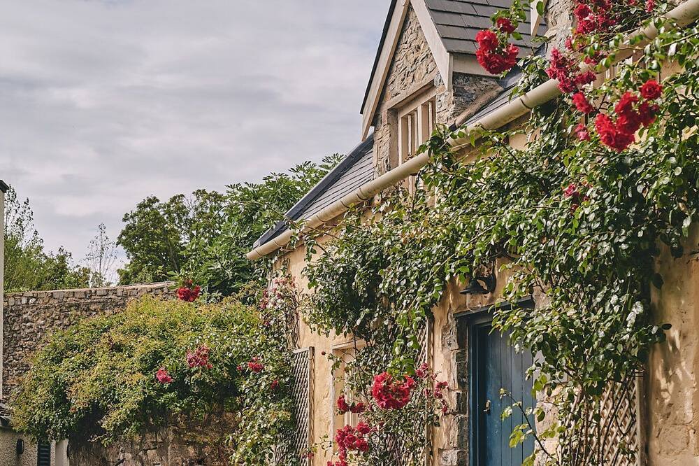 Photo of Others in Gileston