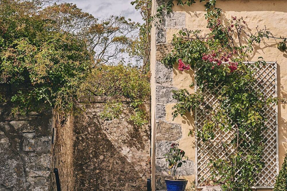 Photo of Outdoor in Gileston